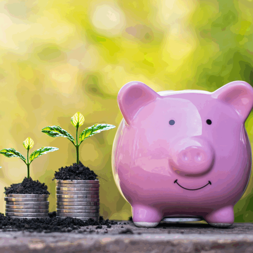 Start Learning How To Budget And Save THOUSANDS In The Process!