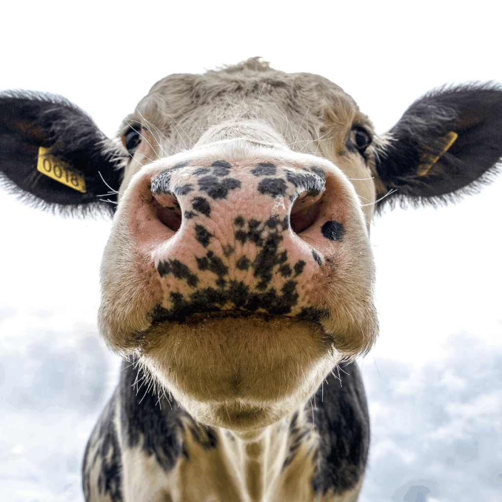 Are We Being Bullshitted To About Mortgage Rates?