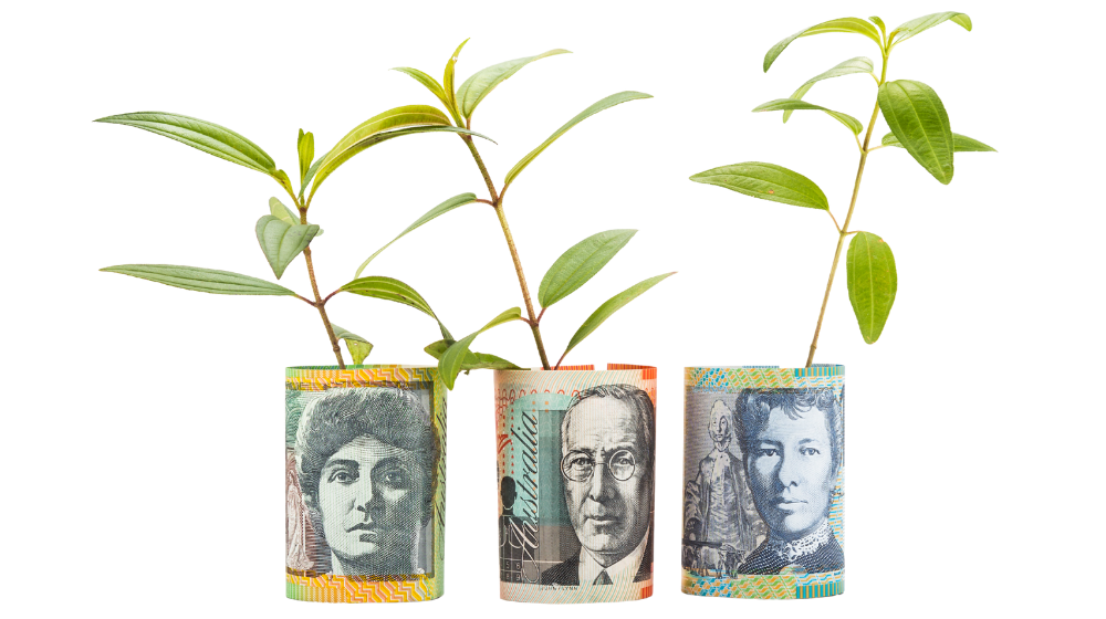 money-trees-success-stories-your-budget-mates-save-grow-wealth