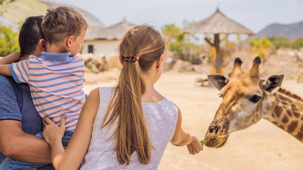 your-budget-mates-savings-goals-family-holidays-safari-trip-goals-save-plan